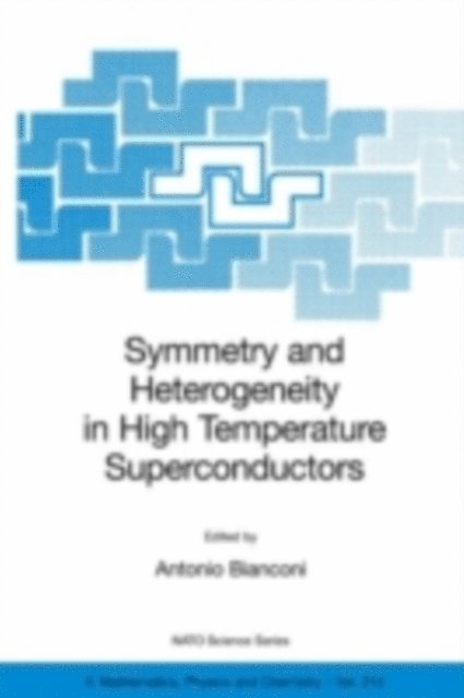 Antonio Bianconi - Symmetry and Heterogeneity in High Temperature Superconductors, E-bok