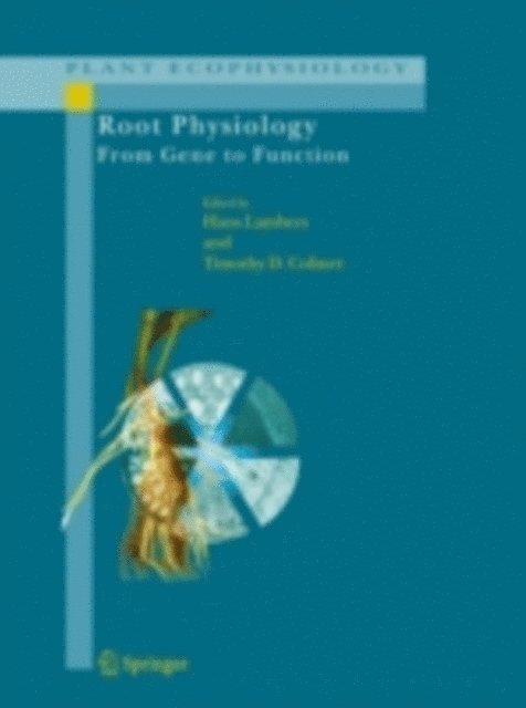 Timothy D. Colmer, Hans Lambers - Root Physiology: from Gene to Function, E-bok