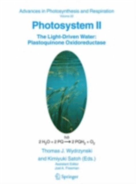 Kimiyuki Satoh, T. Wydrzynski - Photosystem II, E-bok