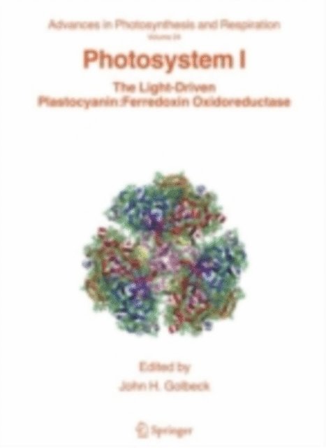John H. Golbeck - Photosystem I, E-bok
