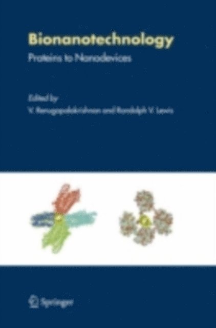 Randy V. Lewis, V. Renugopalakrishnan - Bionanotechnology, E-bok