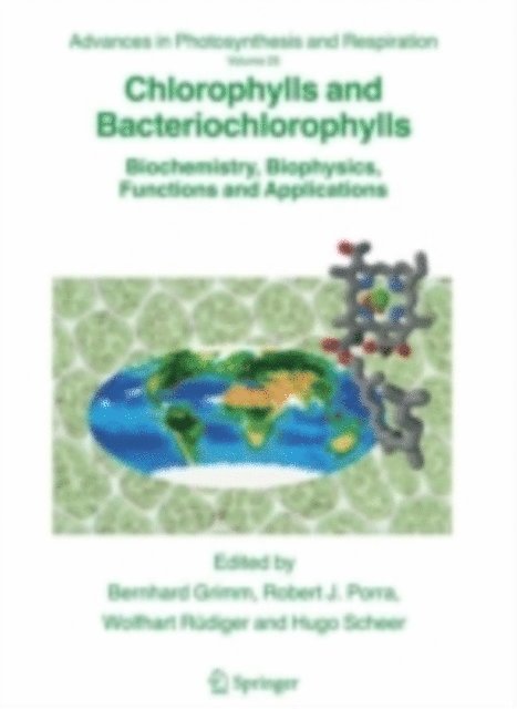 Hugo Scheer, Wolfhart Rudiger, Robert J. Porra, Bernhard Grimm - Chlorophylls and Bacteriochlorophylls, E-bok