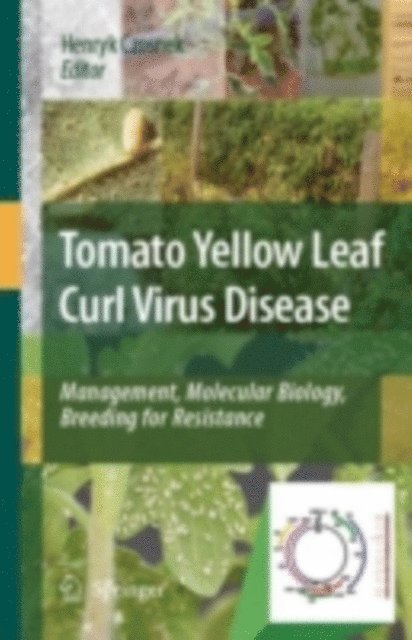 Henryk Czosnek - Tomato Yellow Leaf Curl Virus Disease, E-bok