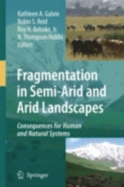 N. Thompson Hobbs, Roy H. Behnke, Jr., Robin S. Reid, Kathleen A. Galvin - Fragmentation in Semi-Arid and Arid Landscapes, E-bok