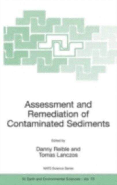 Tomas Lanczos, Danny Reible - Assessment and Remediation of Contaminated Sediments, E-bok
