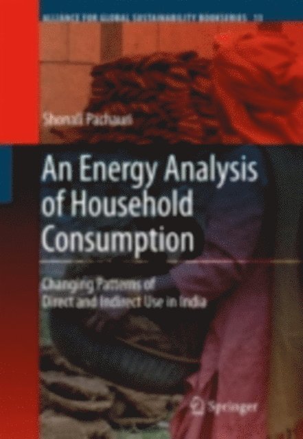 Shonali Pachauri - Energy Analysis of Household Consumption, E-bok