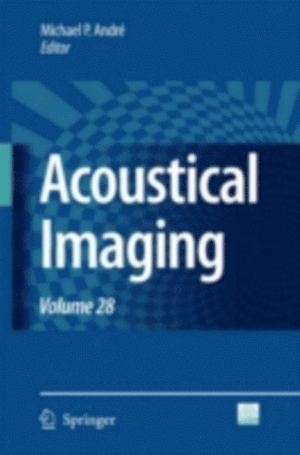 Michael P. Andre - Acoustical Imaging, E-bok