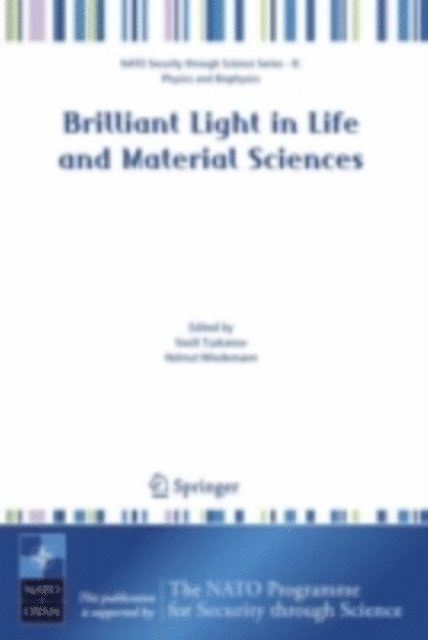 Helmut Wiedemann, Vasili Tsakanov - Brilliant Light in Life and Material Sciences, E-bok