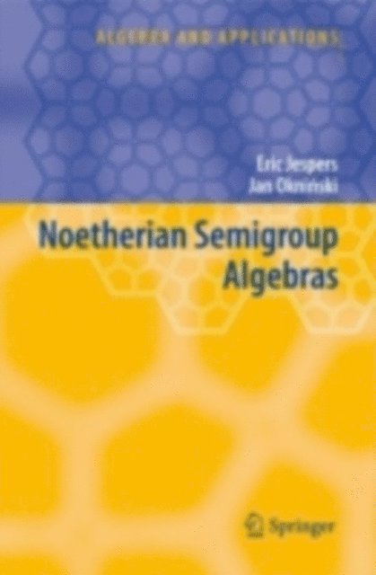 Jan Okninski, Eric Jespers - Noetherian Semigroup Algebras, E-bok