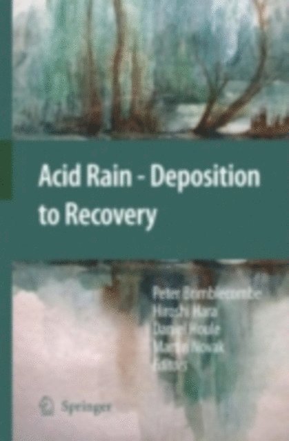 Martin Novak, Daniel Houle, Hiroshi Hara, Peter Brimblecombe - Acid Rain - Deposition to Recovery, E-bok