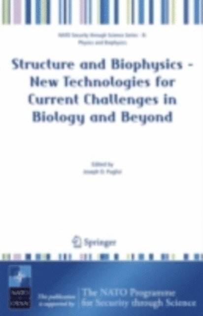 Joseph D. Puglisi - Structure and Biophysics - New Technologies for Current Challenges in Biology and Beyond, E-bok
