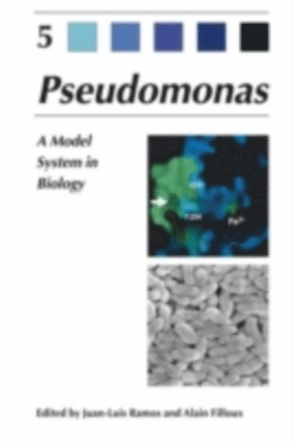 Alain Filloux, Juan-Luis Ramos - Pseudomonas, E-bok