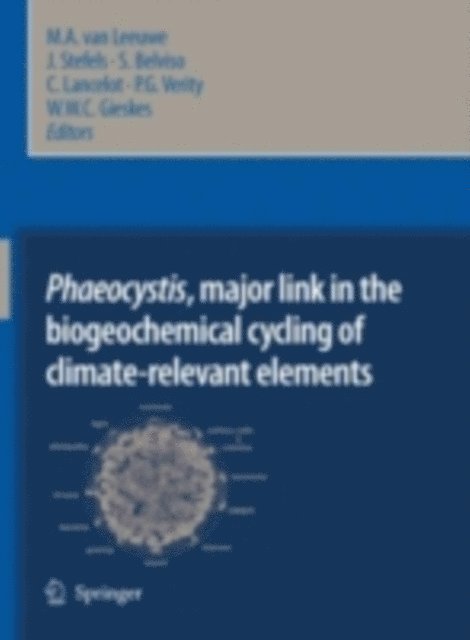 W.W.C. Gieskes, P.G. Verity, C. Lancelot, S. Belviso, J. Stefels, M.A. van Leeuwe - Phaeocystis, major link in the biogeochemical cycling of climate-relevant elements, E-bok