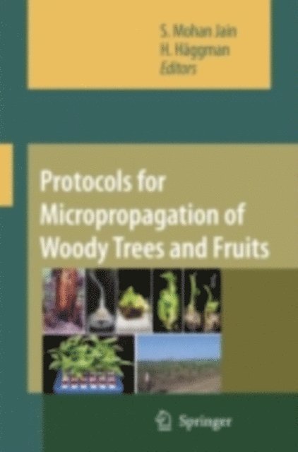 H. Haggman, S.Mohan Jain - Protocols for Micropropagation of Woody Trees and Fruits, E-bok