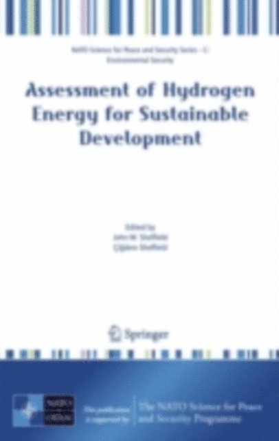 Cigdem Sheffield, John W. Sheffield - Assessment of Hydrogen Energy for Sustainable Development, E-bok