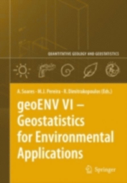 Roussos Dimitrakopoulos, Maria Joao Pereira, Amilcar Soares - geoENV VI - Geostatistics for Environmental Applications, E-bok