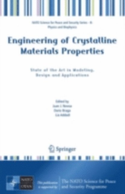 Lia Addadi, Dario Braga, Juan J. Novoa - Engineering of Crystalline Materials Properties, E-bok