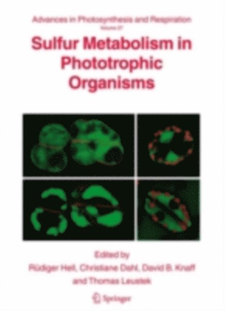 Thomas Leustek, David B. Knaff, Christiane Dahl, Rudiger Hell - Sulfur Metabolism in Phototrophic Organisms, E-bok