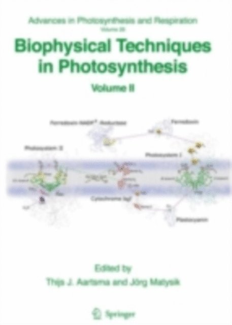 Jorg Matysik, Thijs Aartsma - Biophysical Techniques in Photosynthesis, E-bok