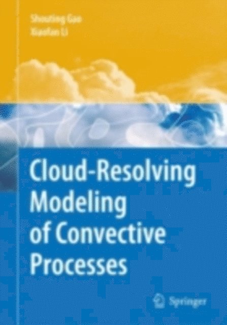 Xiaofan Li, Shouting Gao - Cloud-Resolving Modeling of Convective Processes, E-bok