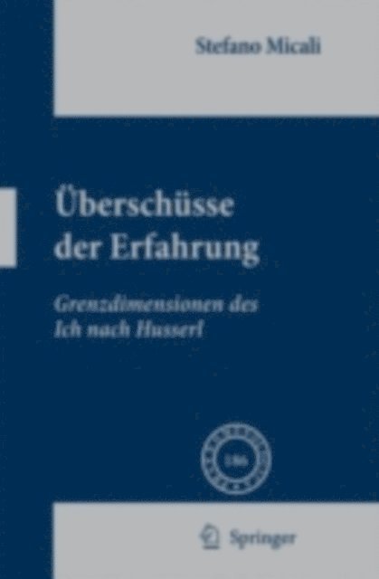 Stefano Micali - Überschüsse der Erfahrung, E-bok
