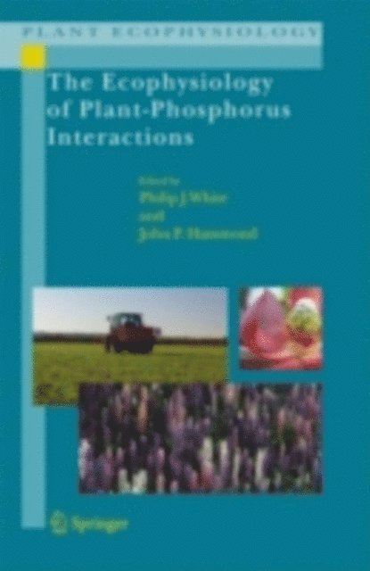 John P. Hammond, Philip J. White - Ecophysiology of Plant-Phosphorus Interactions, E-bok