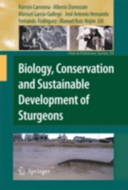 Manuel Ruiz-Rejon, Fernando Rodriguez, Jose Antonio Hernando, Manuel Garcia Gallego, Alberto Domezain, Ramon Carmona - Biology, Conservation and Sustainable Development of Sturgeons, E-bok