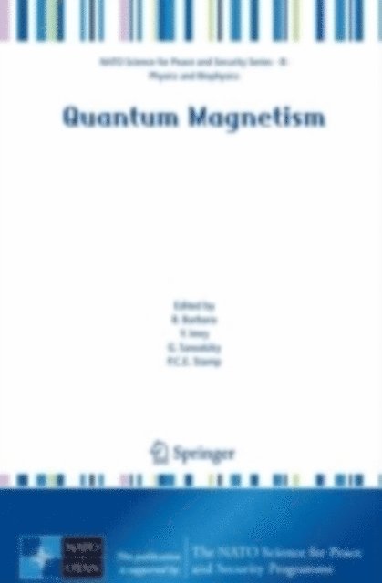 P. C. E. Stamp, G. Sawatzky, Yosef Imry, Bernard Barbara - Quantum Magnetism, E-bok
