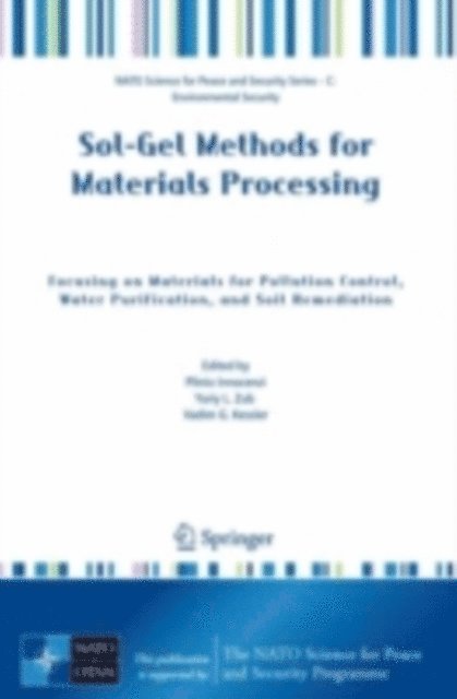 Vadim G. Kessler, Yuriy L. Zub - Sol-Gel Methods for Materials Processing, E-bok
