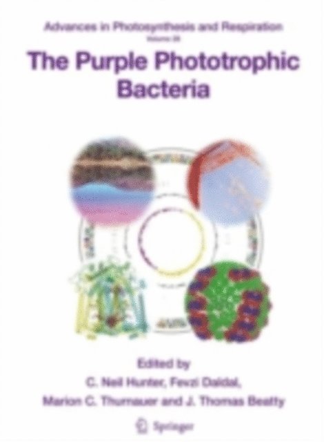 J. Thomas Beatty, Marion C. Thurnauer, Fevzi Daldal, C.N. Hunter - Purple Phototrophic Bacteria, E-bok
