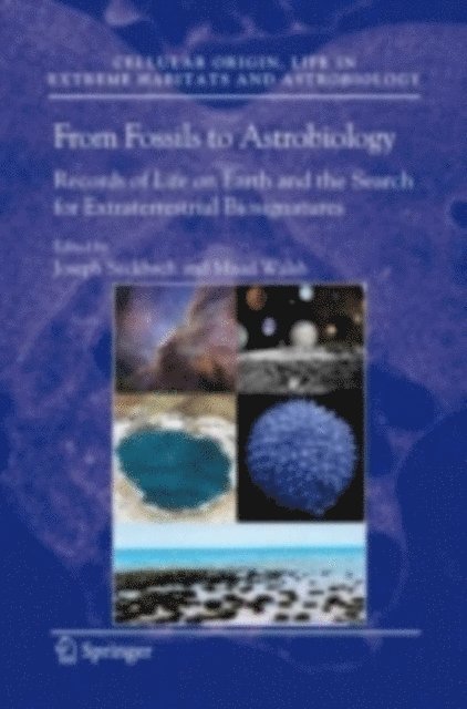 Maud Walsh, Joseph Seckbach - From Fossils to Astrobiology, E-bok