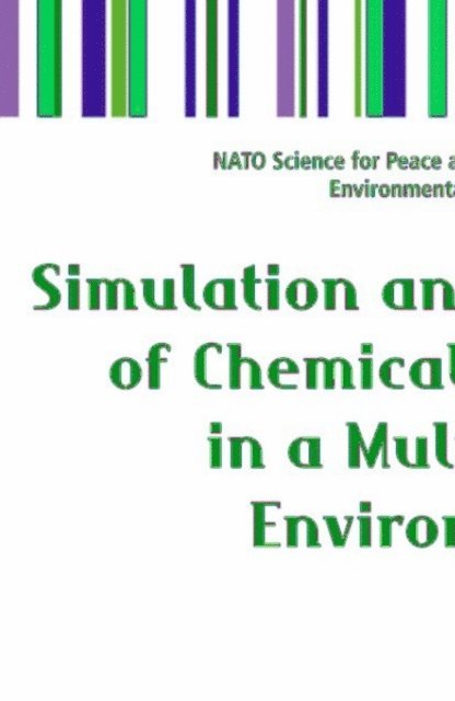 Mykola M. Kharytonov, Ian Barnes - Simulation and Assessment of Chemical Processes in a Multiphase Environment, E-bok