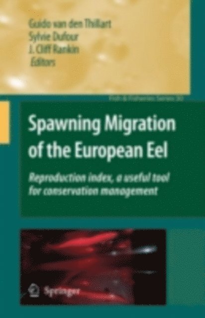 J. Cliff Rankin, Sylvie Dufour, Guido van den Thillart - Spawning Migration of the European Eel, E-bok
