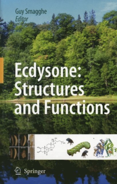 Guy Smagghe - Ecdysone: Structures and Functions, E-bok