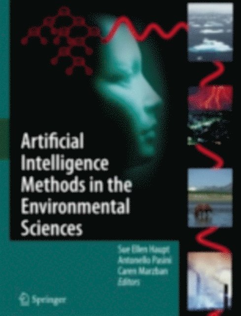 Caren Marzban, Antonello Pasini, Sue Ellen Haupt - Artificial Intelligence Methods in the Environmental Sciences, E-bok