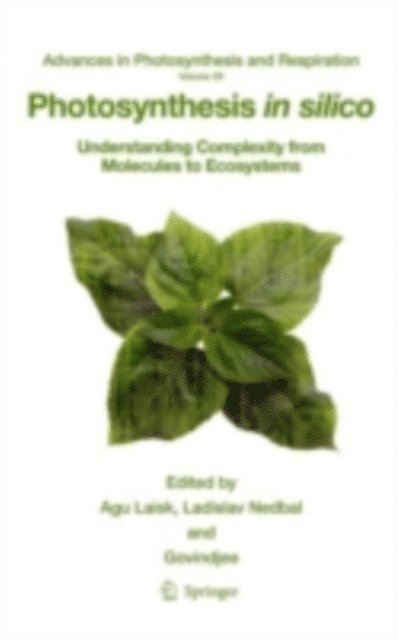 Govindjee, Ladislav Nedbal, Agu Laisk - Photosynthesis in silico, E-bok
