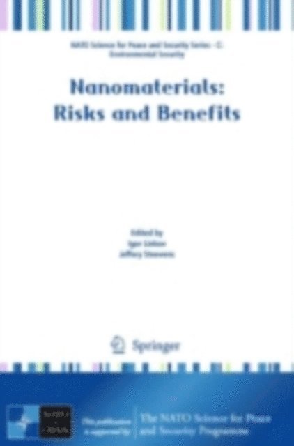 Jeffery A. Steevens, Igor Linkov - Nanomaterials, E-bok