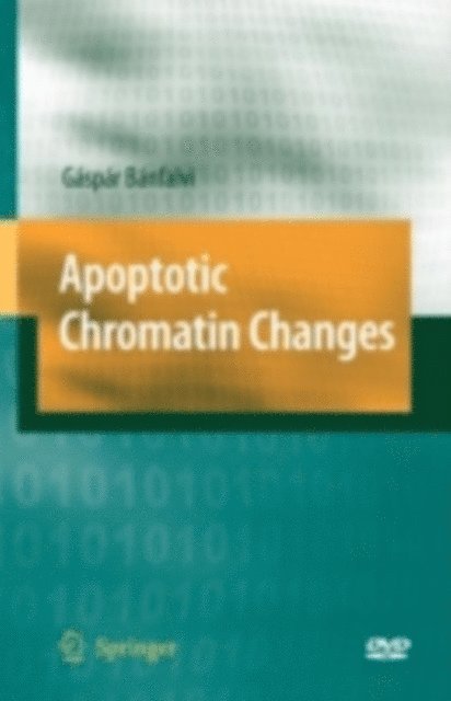 Gaspar Banfalvi - Apoptotic Chromatin Changes, E-bok