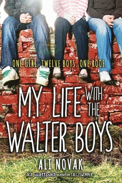 Novak Ali Novak - My Life with the Walter Boys, E-bok