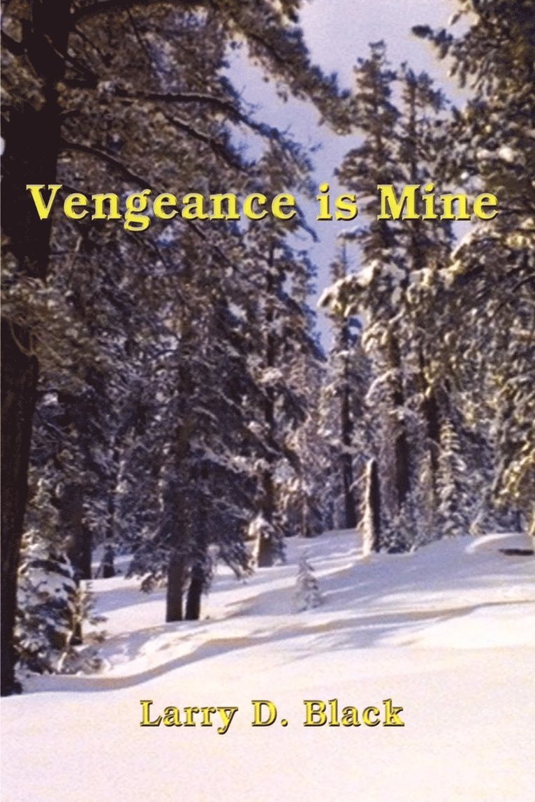 Larry D. Black - Vengeance is Mine, Häftad