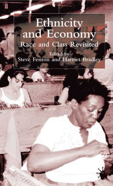 H. Bradley, S. Fenton - Ethnicity and Economy, E-bok