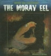Miriam Gross - The Moray Eel, Inbunden