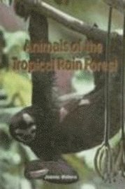 Joanne Mattern - Animals of the Tropical Rain Forest, Inbunden