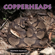 Heather Feldman - Copperheads, Häftad. Tillgänglighet: Tillfälligt slut