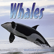 Marianne Johnston - Whales, Häftad. Tillgänglighet: Tillfälligt slut