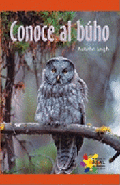 Autumn Leigh - Conoce Al Buho, Häftad
