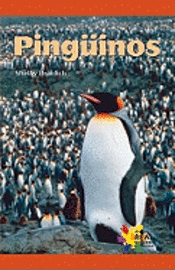 Shelby Braidich - Pinguinos, Häftad. Tillgänglighet: Tillfälligt slut