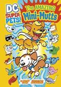 Dc Super Pets Amazing Mini-Mutts