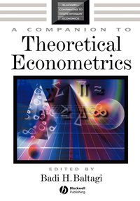 Companion to Theoretical Econometrics