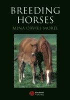 Mina Davies-Morel - Breeding Horses, Häftad. Tillgänglighet: Lägg i varukorg